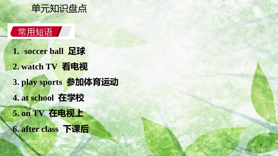 七年级英语上册 Unit 5 Do you have a soccer ball单元知识盘点优质课件 （新版）人教新目标版_第3页