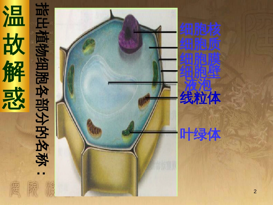 七年级生物上册 第二单元 第一章 第一二节综合课件 （新版）新人教版 (213)_第2页