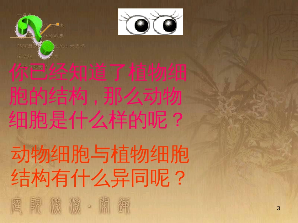 七年级生物上册 第二单元 第一章 第一二节综合课件 （新版）新人教版 (213)_第3页