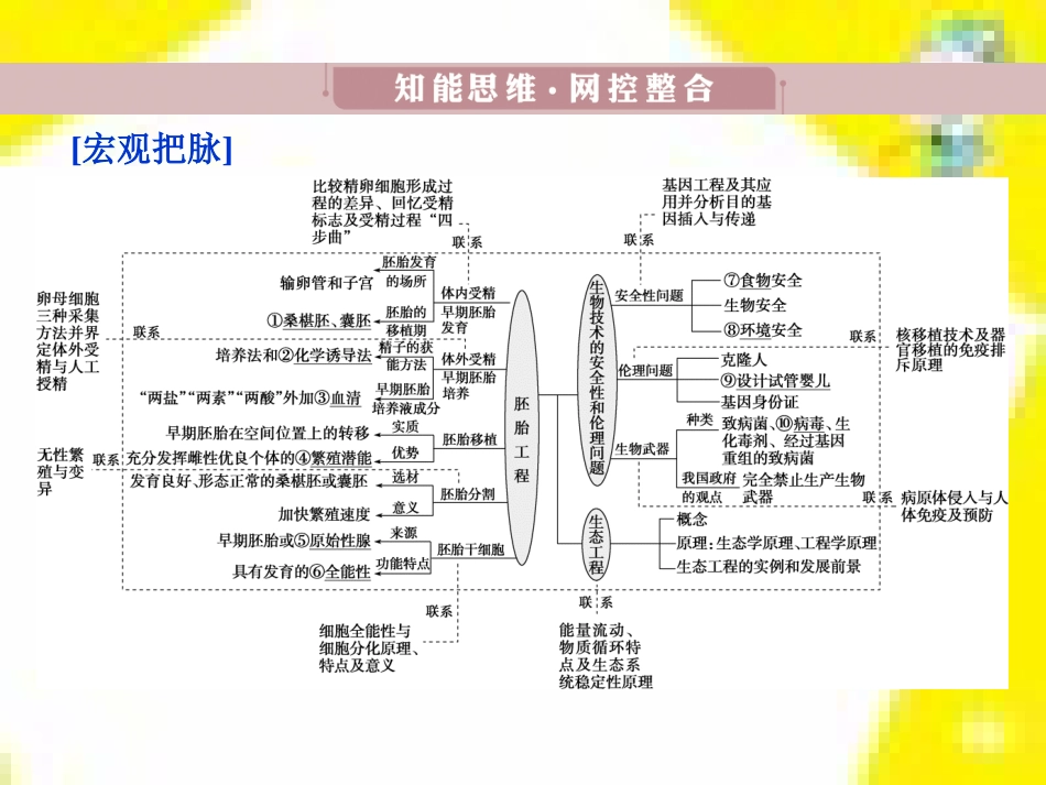 高中生物 第7章 第2节 现代生物进化理论的主要内容课件 新人教版必修2 (14)_第3页