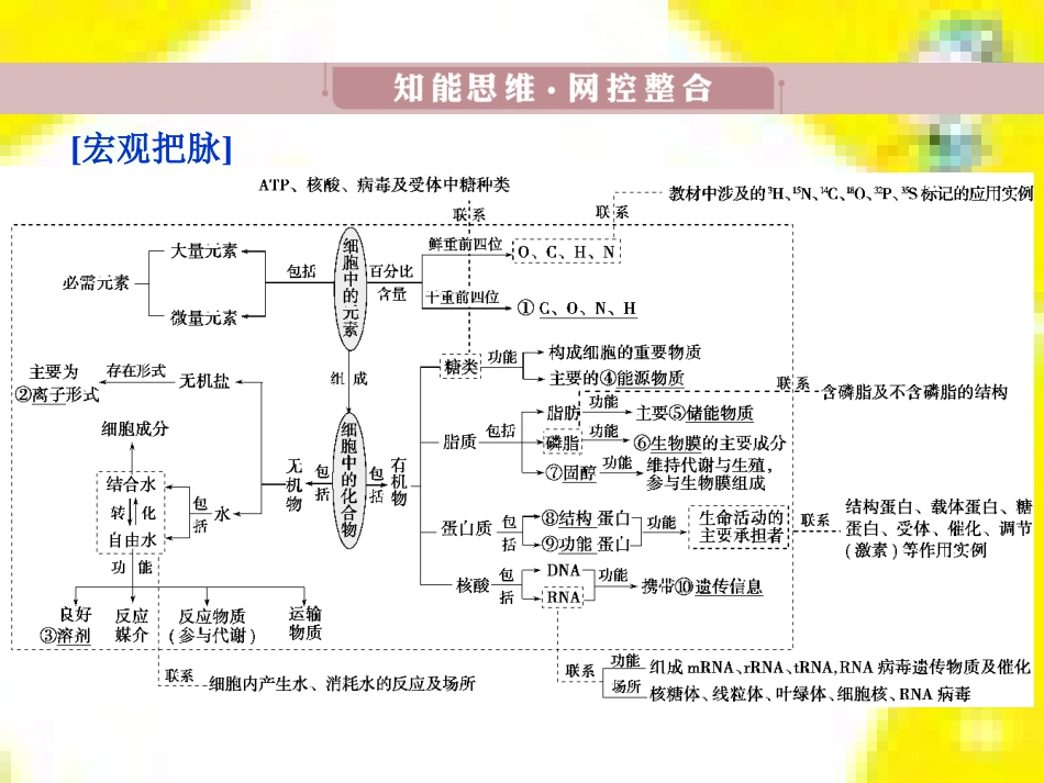 高中生物 第7章 第2节 现代生物进化理论的主要内容课件 新人教版必修2 (21)_第3页