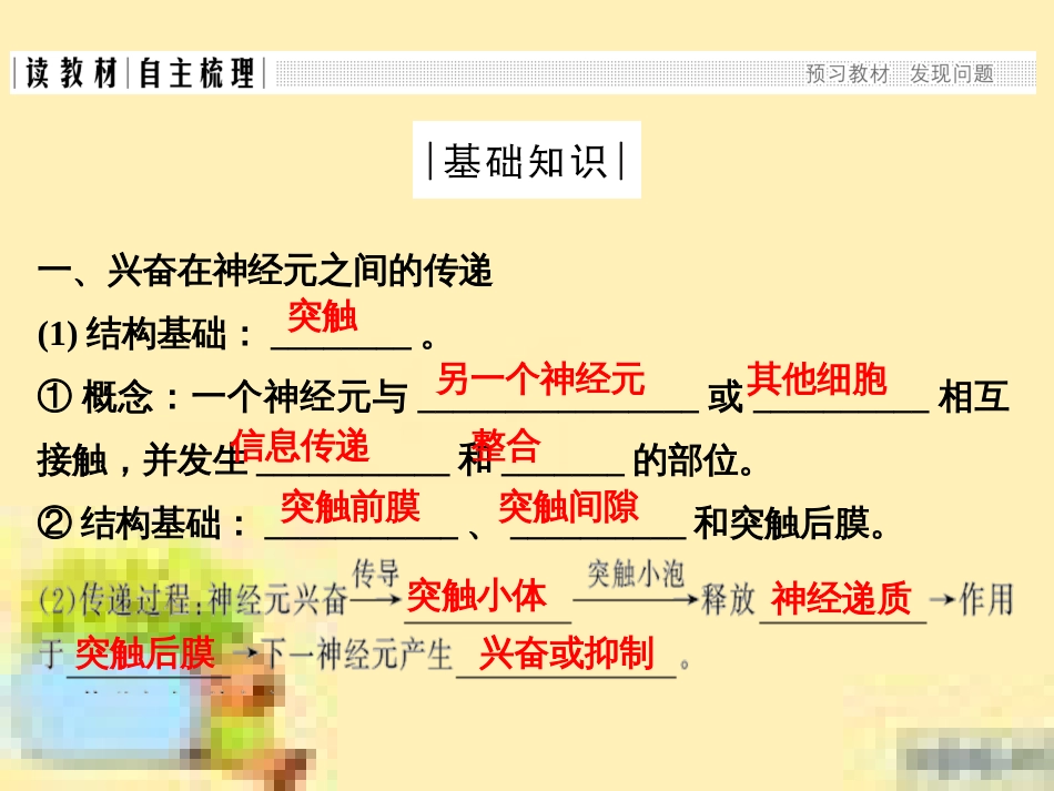 高中生物 第一单元 生物个体的稳态与调节 第一章 植物生命活动的调节章末整合课件 中图版必修3 (16)_第2页