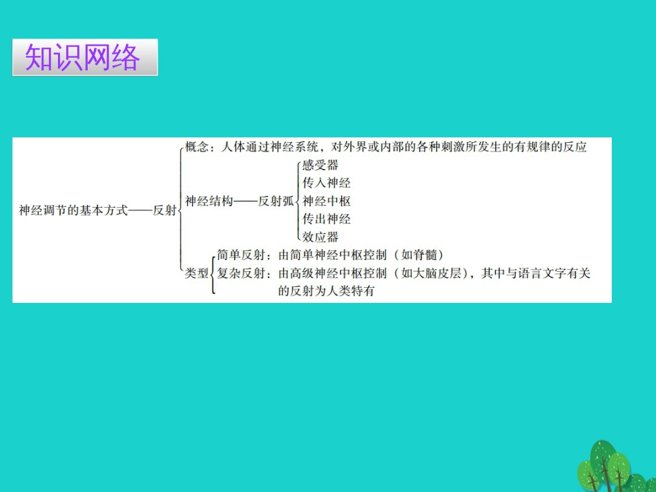 广东省20152016七年级生物下册 第6章 第三节 神经调节的基本方式导练课件 （新版）新人教版_第2页