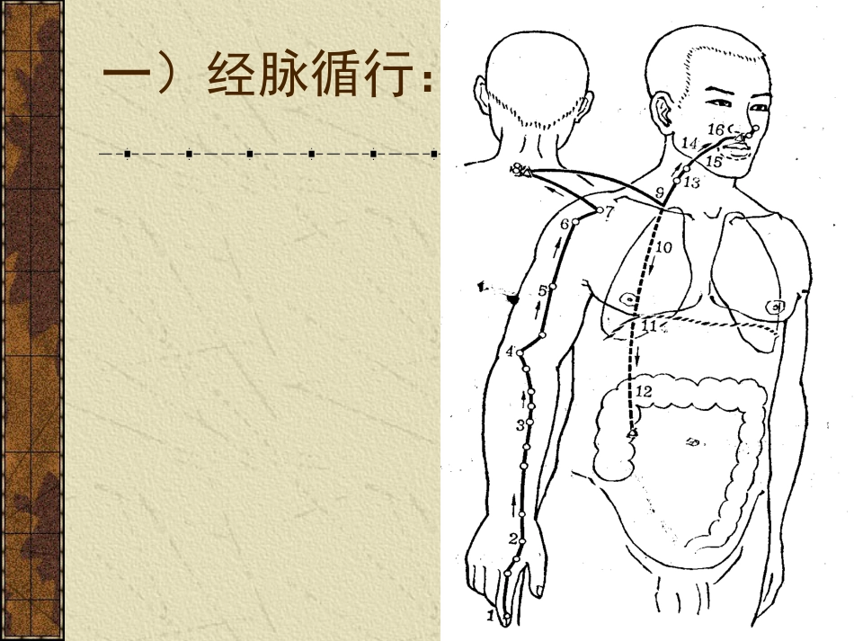 手阳明大肠经[共14页]_第3页