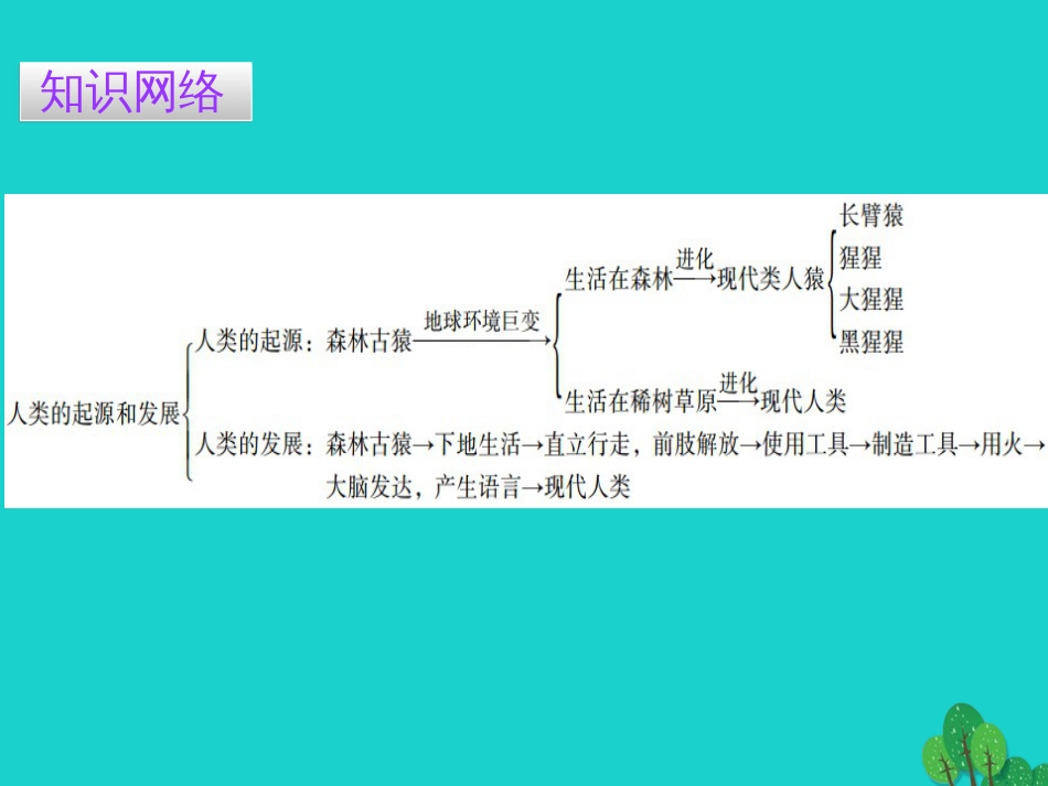 广东省20152016七年级生物下册 第1章 第一节 人类的起源和发展导练课件 （新版）新人教版_第2页