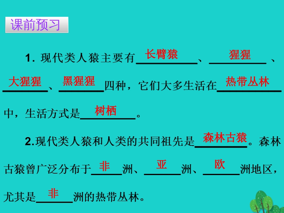 广东省20152016七年级生物下册 第1章 第一节 人类的起源和发展导练课件 （新版）新人教版_第3页