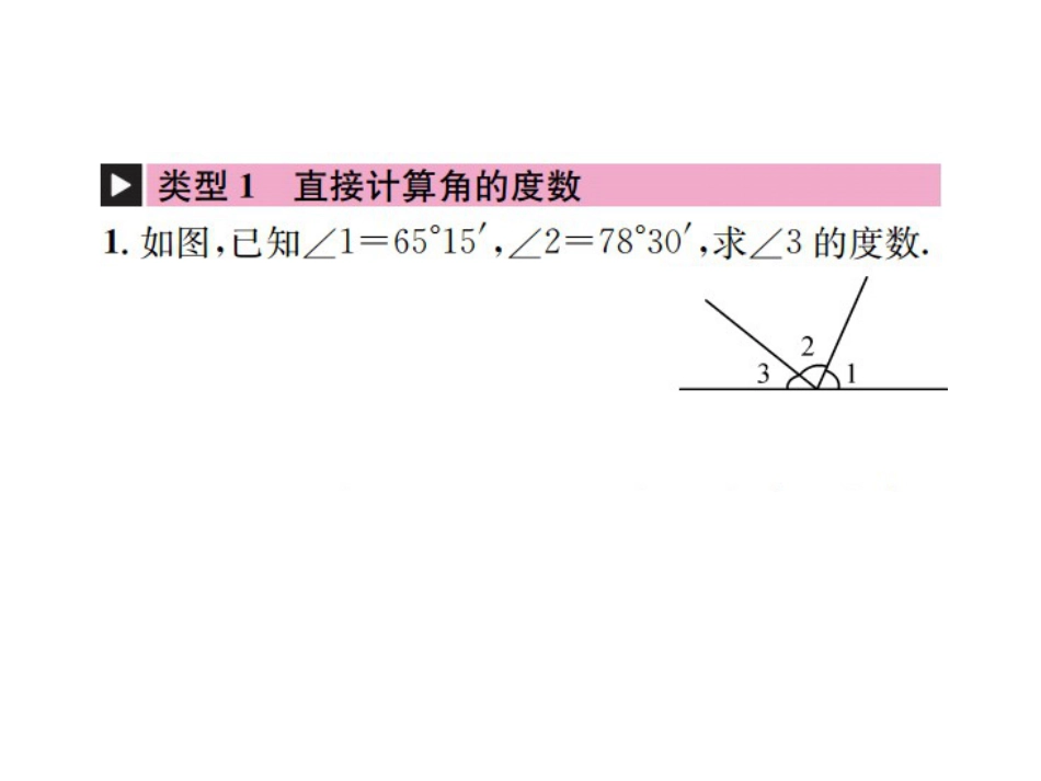 北师大版七年级数学专题训练六角的有关计算_第2页