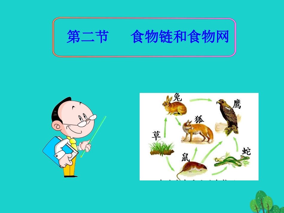 八年级生物下册 第六单元 第二章 食物链和食物网课件 （新版）济南版_第2页