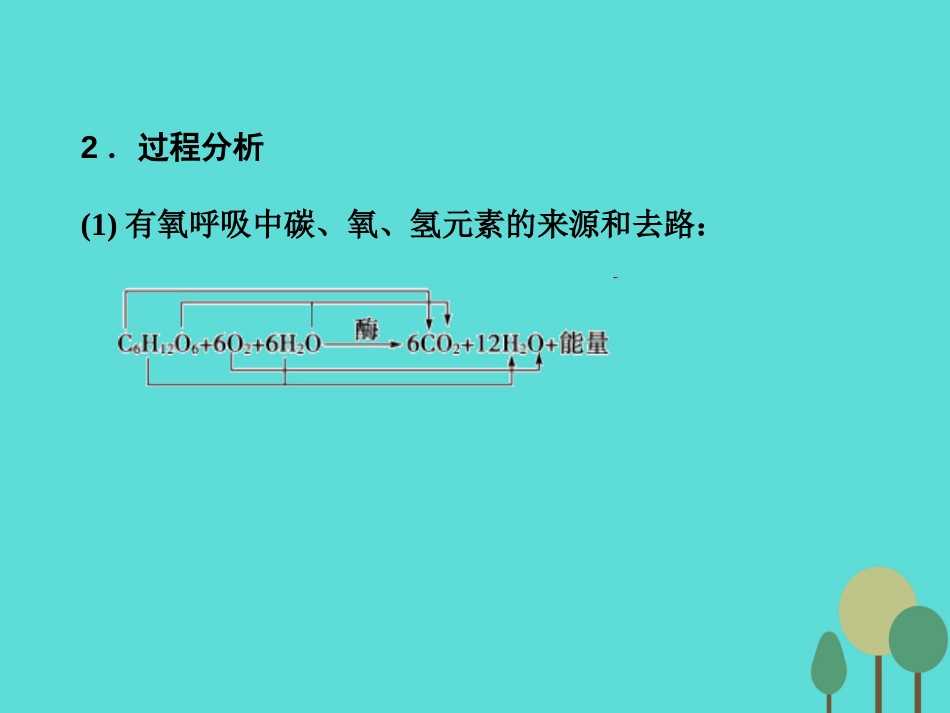 年高考生物一轮复习 第3单元 细胞的能量供应和利用 第9讲 细胞呼吸课件_第3页