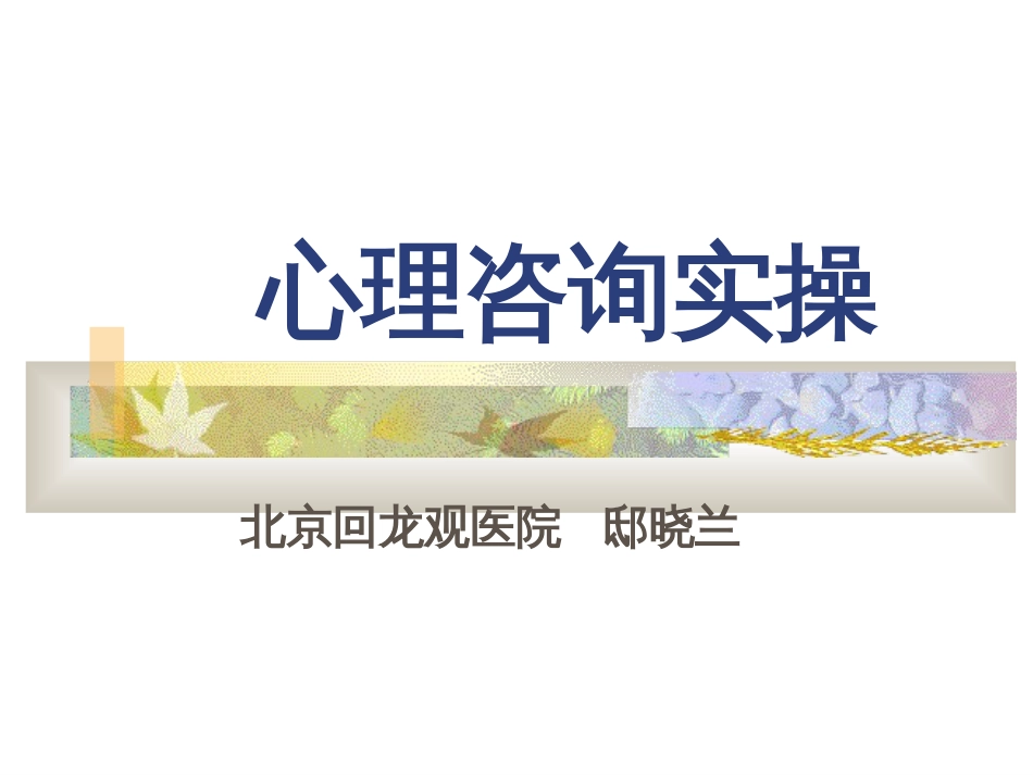 心理咨询课件心理咨询务实[共71页]_第1页