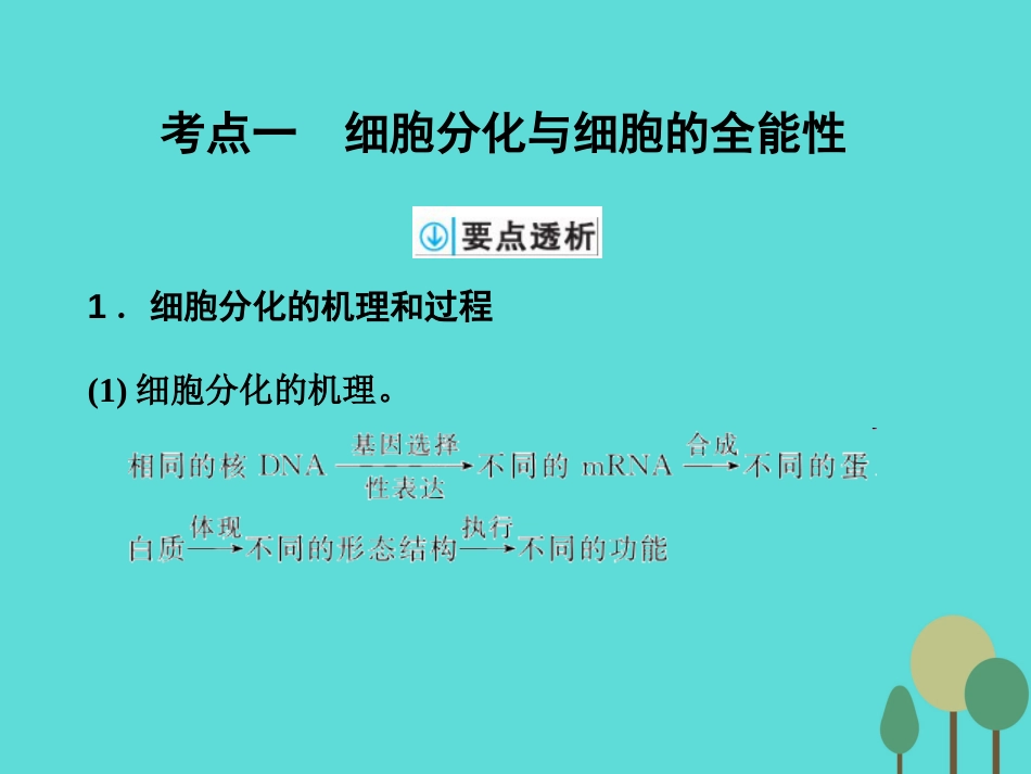年高考生物一轮复习 第4单元 细胞的生命历程 第13讲 细胞的分化、衰老、凋亡和癌变课件_第2页