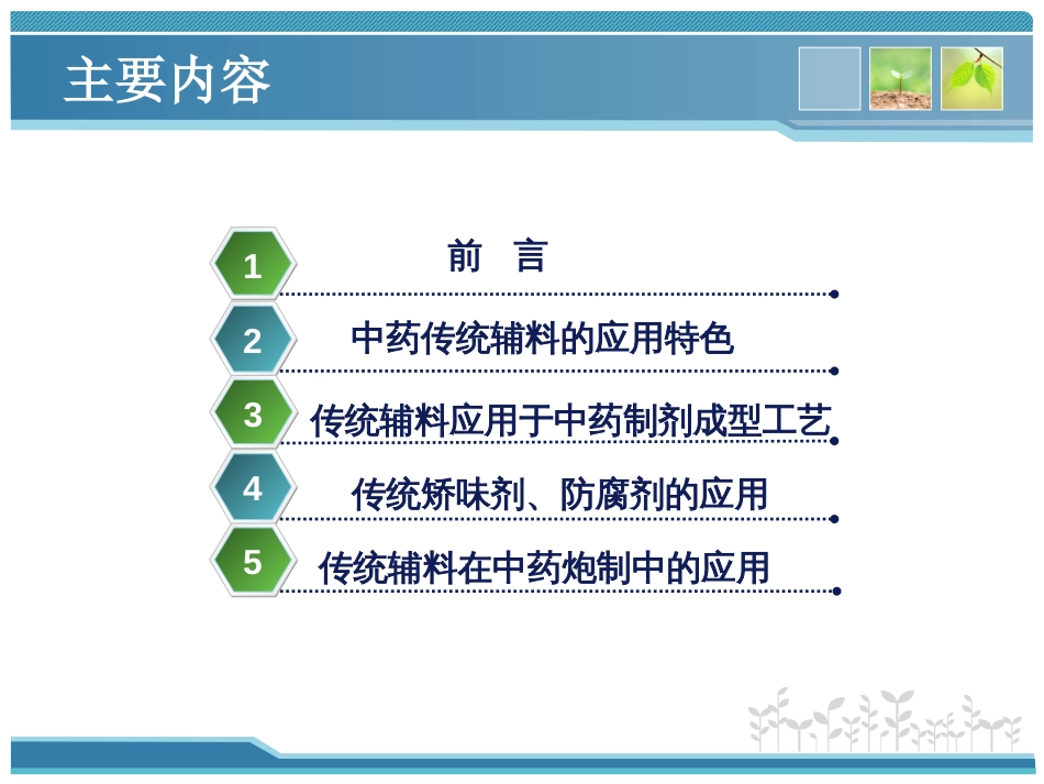 傅超美中药传统辅料在中药制剂中的应用[共46页]_第2页