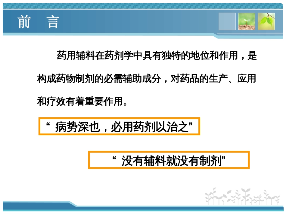 傅超美中药传统辅料在中药制剂中的应用[共46页]_第3页