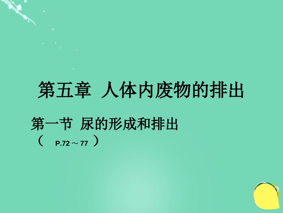 安徽省桐城市嬉子湖中心学校七年级生物下册 4.5 人体内废物的排出课件 （新版）新人教版_第1页