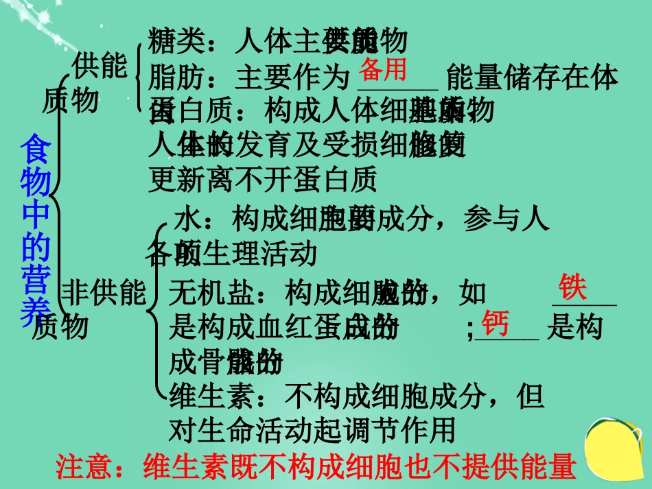 安徽省桐城市嬉子湖中心学校七年级生物下册 4.2.1 食物中的营养物质课件 （新版）新人教版_第2页