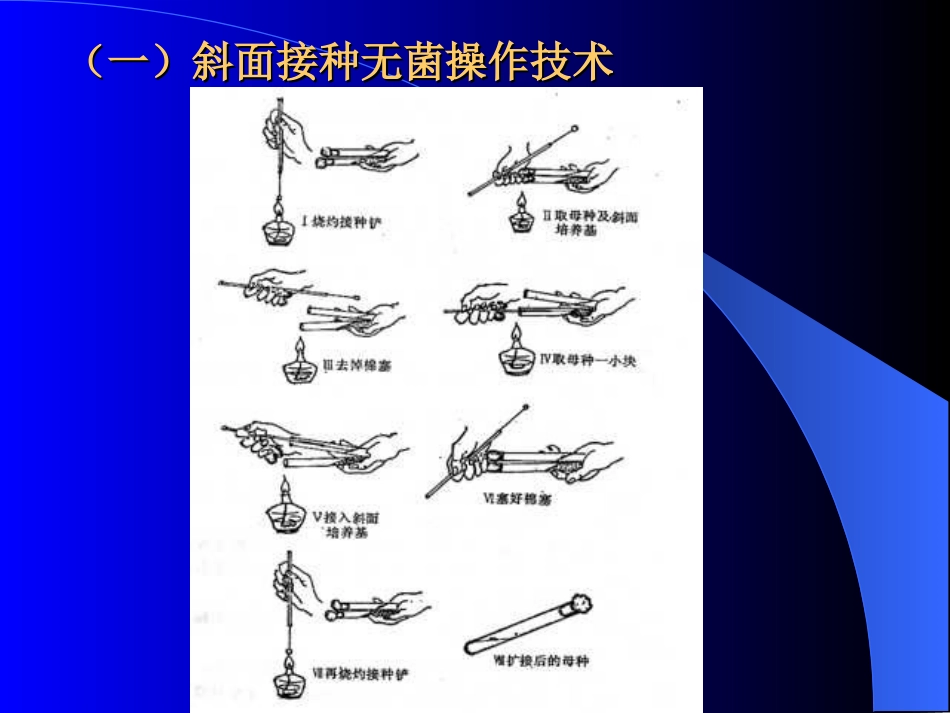 微生物操作范例_第2页