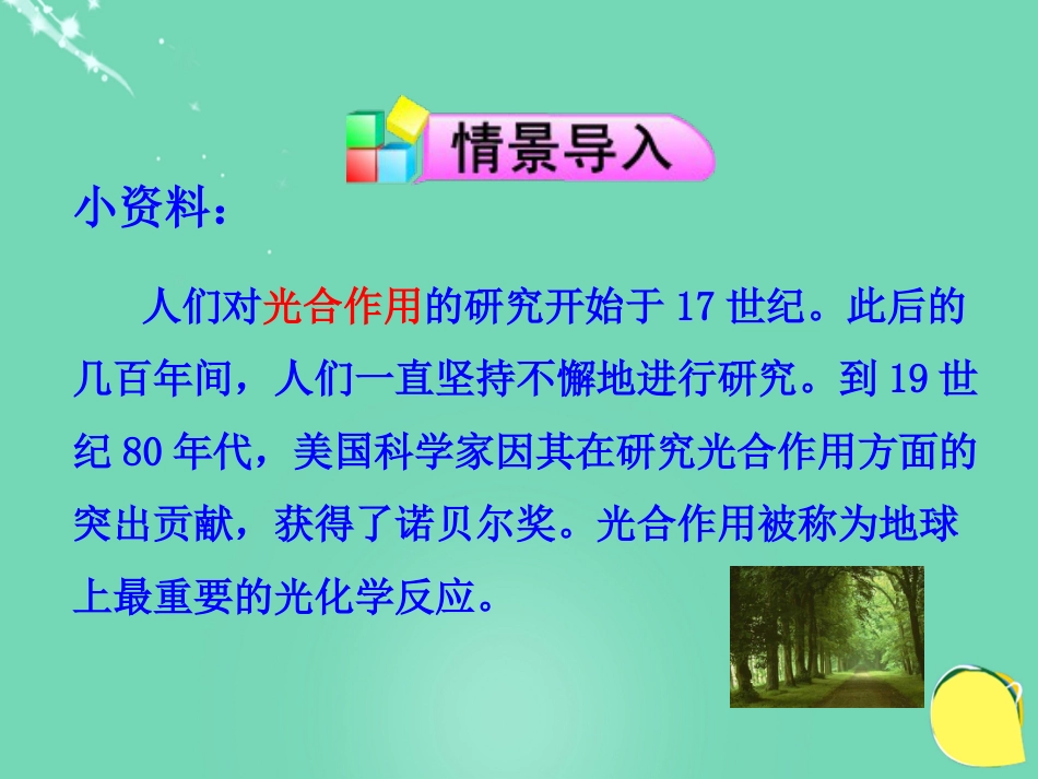 七年级生物上册 第三单元 第六章 第一节 植物光合作用的发现课件（2）（新版）苏教版_第2页