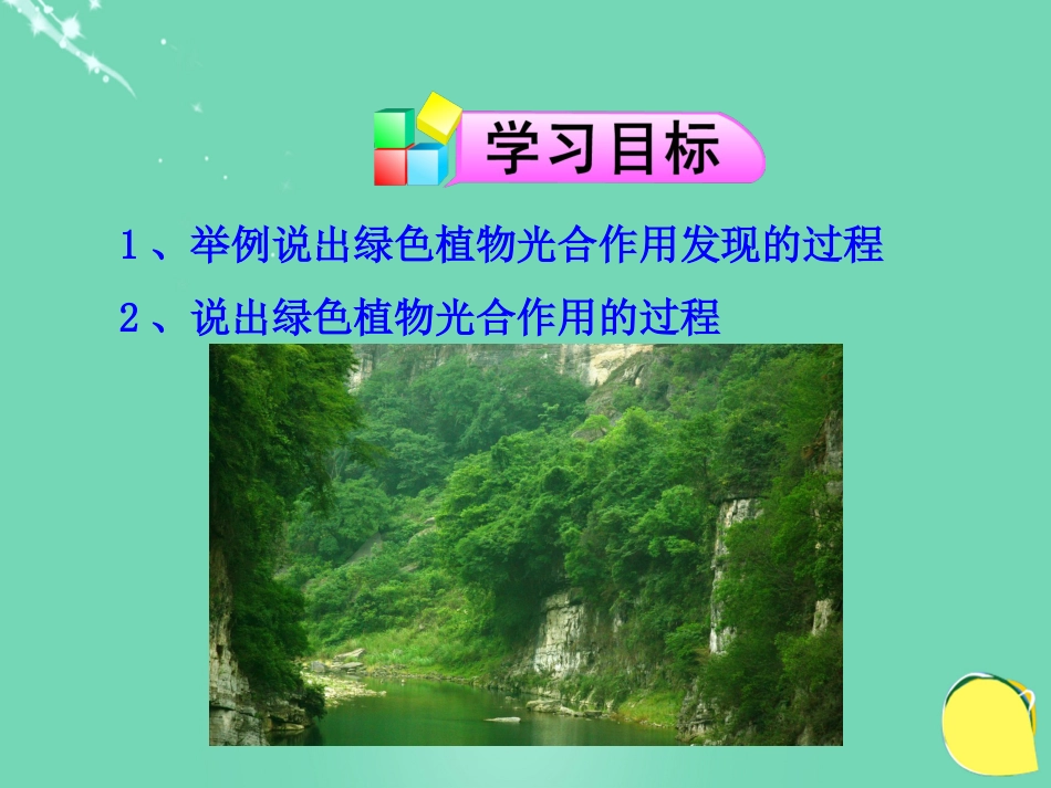 七年级生物上册 第三单元 第六章 第一节 植物光合作用的发现课件（2）（新版）苏教版_第3页