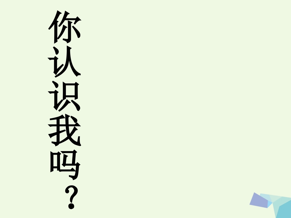 一年级音乐上册 鸭子拌嘴单元课件1 苏少版[共12页]_第1页