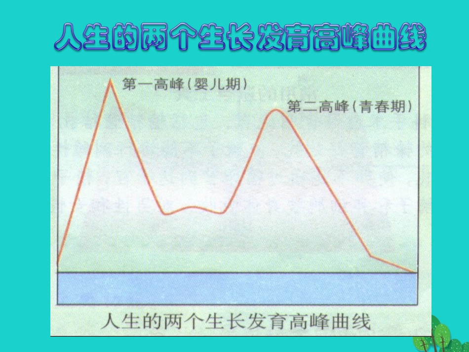 七年级生物下册 第四单元 第一章 第三节 青春期课件（2）（新版）新人教版_第2页