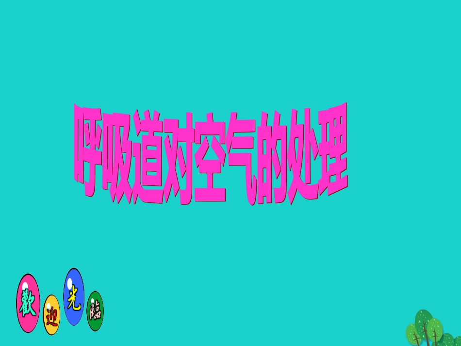 七年级生物下册 第四单元 第二章 第一节 呼吸道对空气的处理课件（2）（新版）新人教版_第1页