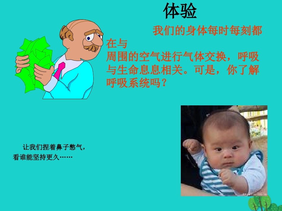 七年级生物下册 第四单元 第二章 第一节 呼吸道对空气的处理课件（2）（新版）新人教版_第2页