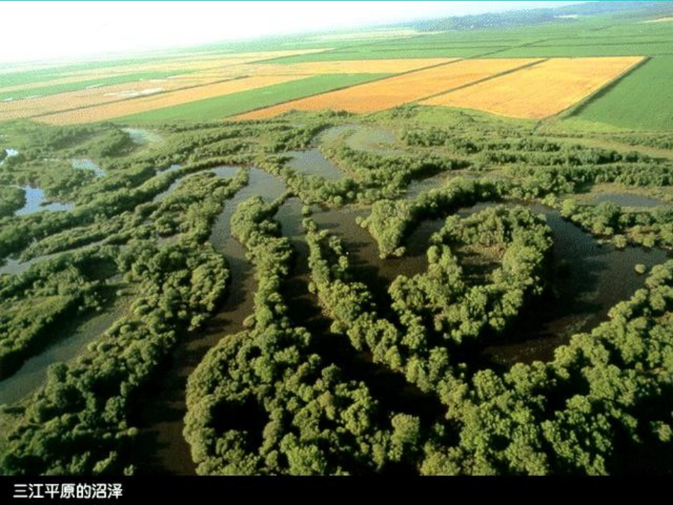 七年级地理上册 第三章 第一节 中国的地势与地形学生课件2 中图版_第3页