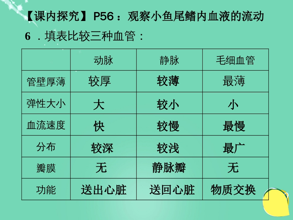 安徽省桐城市嬉子湖中心学校七年级生物下册 4.4.2 血流的管道血管课件 （新版）新人教版_第2页