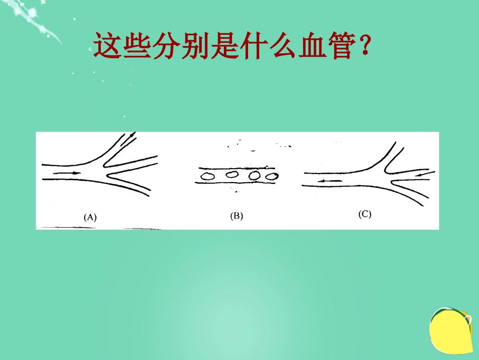 安徽省桐城市嬉子湖中心学校七年级生物下册 4.4.2 血流的管道血管课件 （新版）新人教版_第3页