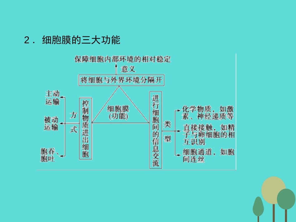 年高考生物一轮复习 第2单元 细胞的基本结构和物质运输功能 第5讲 细胞膜与细胞核课件_第3页