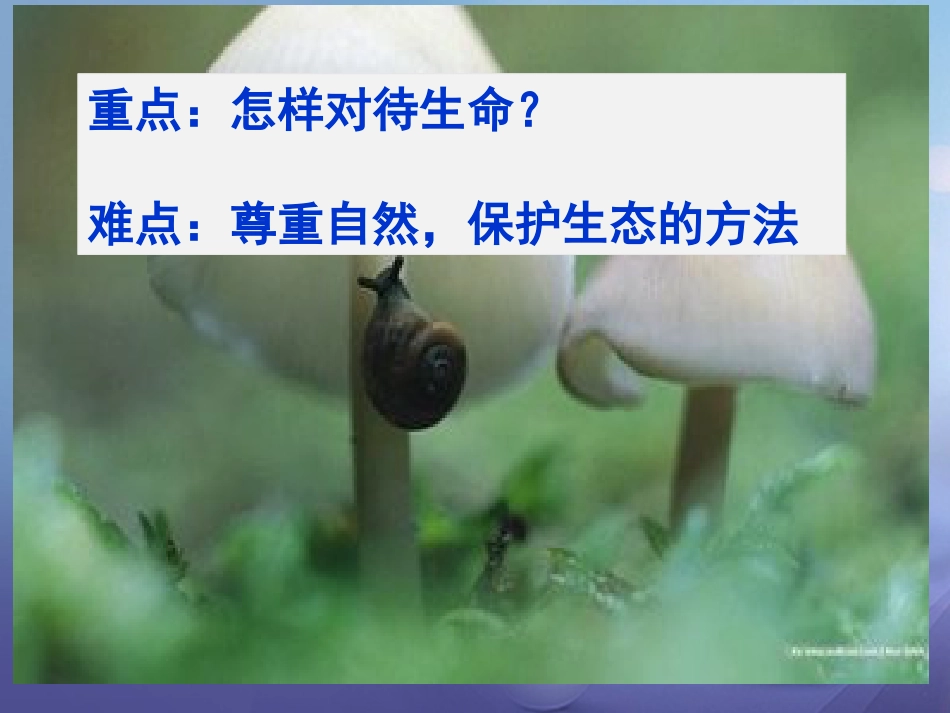 七年级道德与法治下册 第五单元 热爱生命 5.1 大自然的奇迹课件 粤教版_第3页