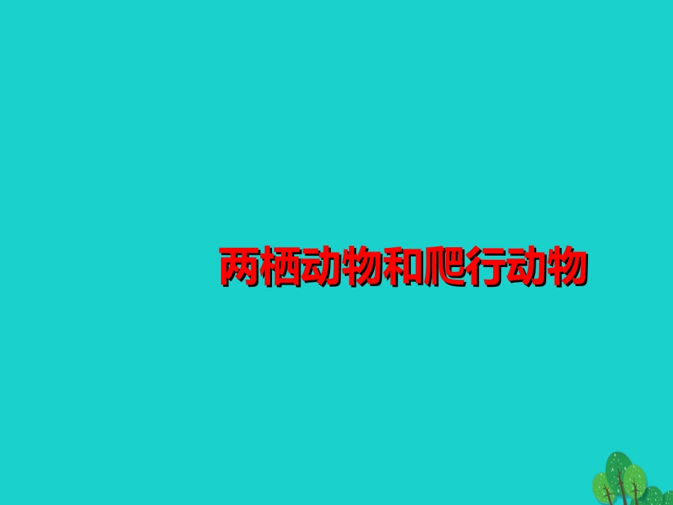 八年级生物上册 5.1.5 两栖动物和爬行动物课件1 （新版）新人教版_第1页