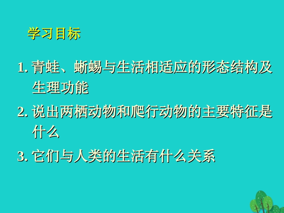 八年级生物上册 5.1.5 两栖动物和爬行动物课件1 （新版）新人教版_第3页