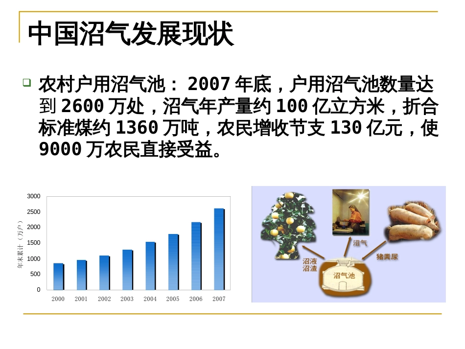 中国沼气产业相关政策及问题[共31页]_第3页