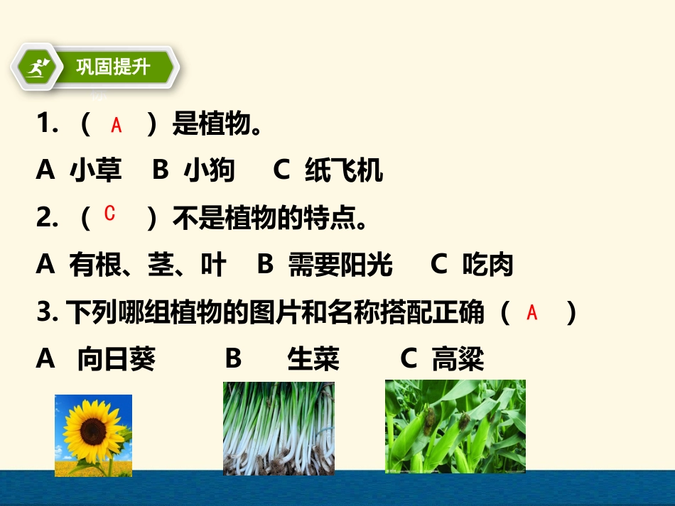 最新教科版一年级科学上册全册PP_第3页