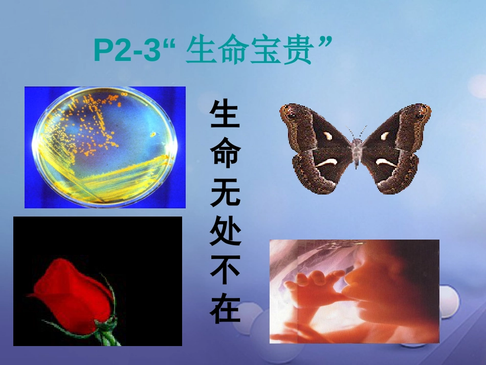 七年级道德与法治下册 第五单元 热爱生命 5.1《大自然的奇迹》课件 粤教版_第3页