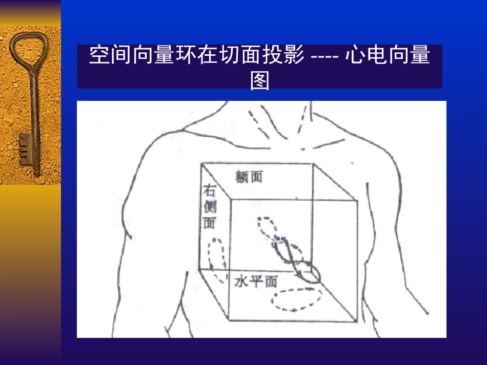 常见心电图诊断要点[共73页]_第2页