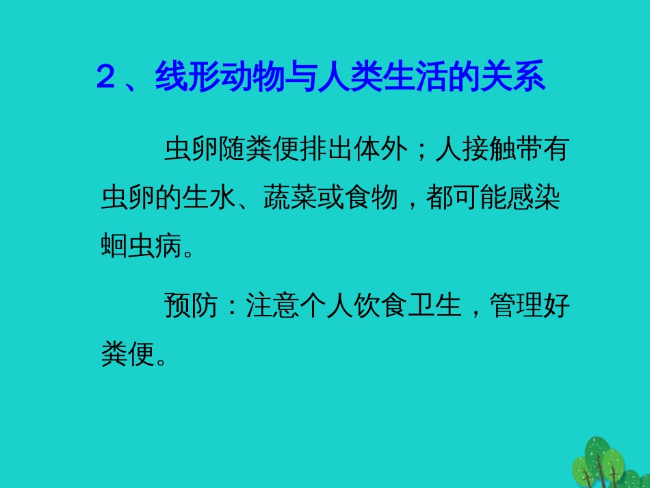 八年级生物上册 5.1.2 线形动物和环节动物课件3 （新版）新人教版_第3页