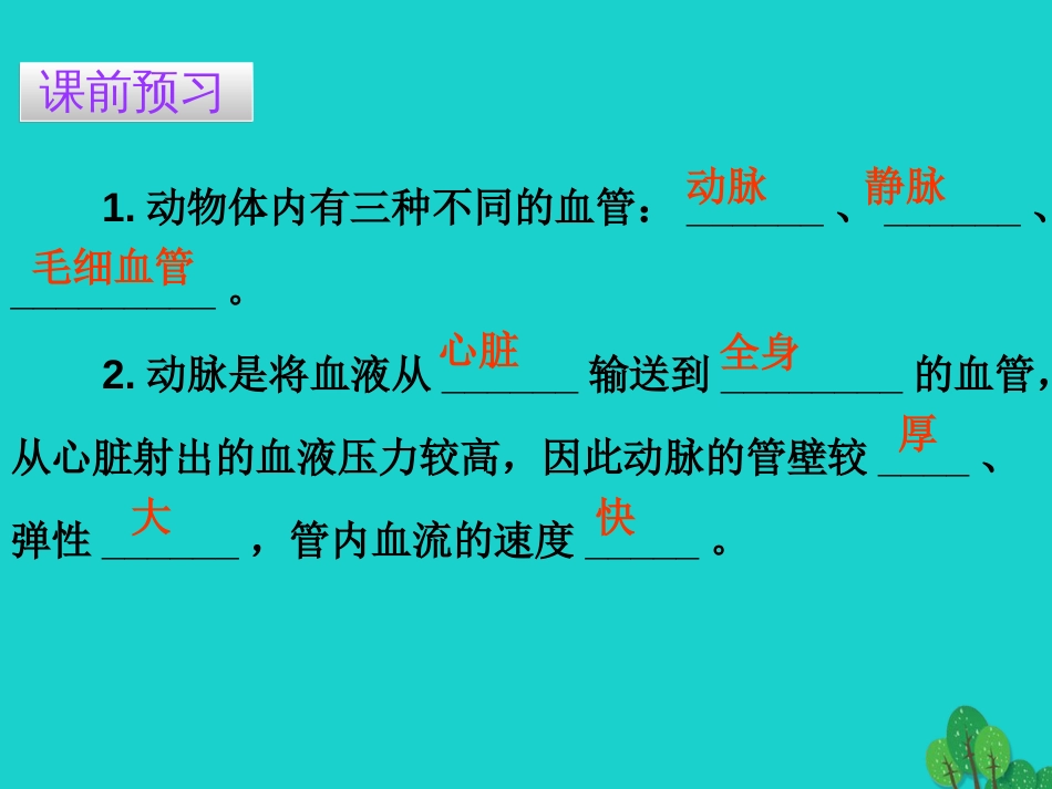 广东省20152016七年级生物下册 第4章 第二节 血流的管道——血管导练课件 （新版）新人教版_第3页