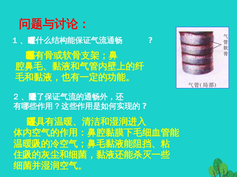 七年级生物下册 第四单元 第二章 第一节 呼吸道对空气的处理 呼吸系统的组成及功能课件 （新版）新人教版_第2页