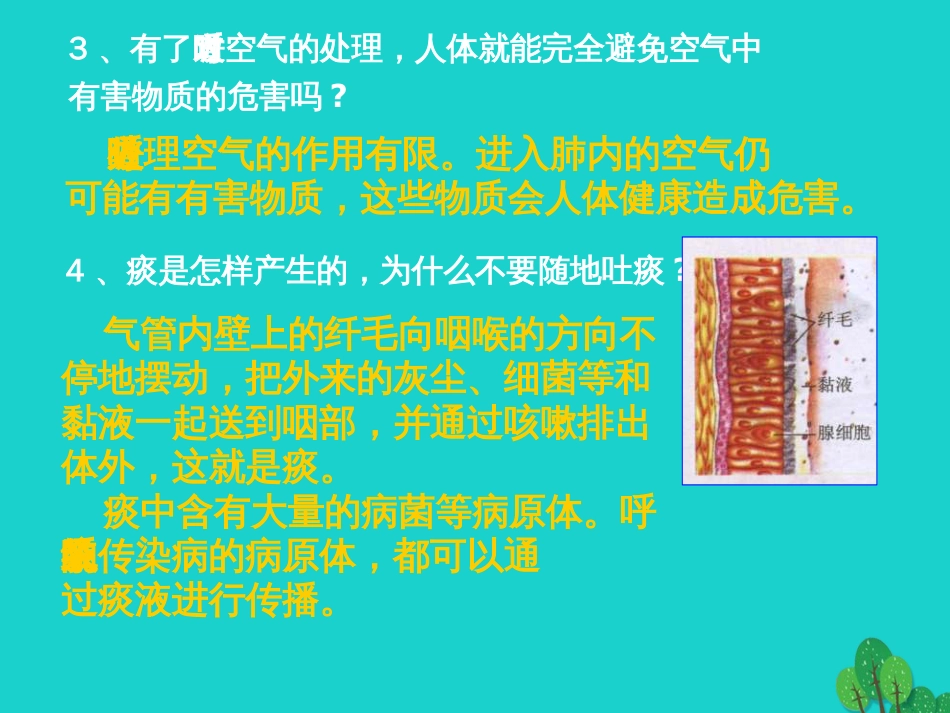 七年级生物下册 第四单元 第二章 第一节 呼吸道对空气的处理 呼吸系统的组成及功能课件 （新版）新人教版_第3页