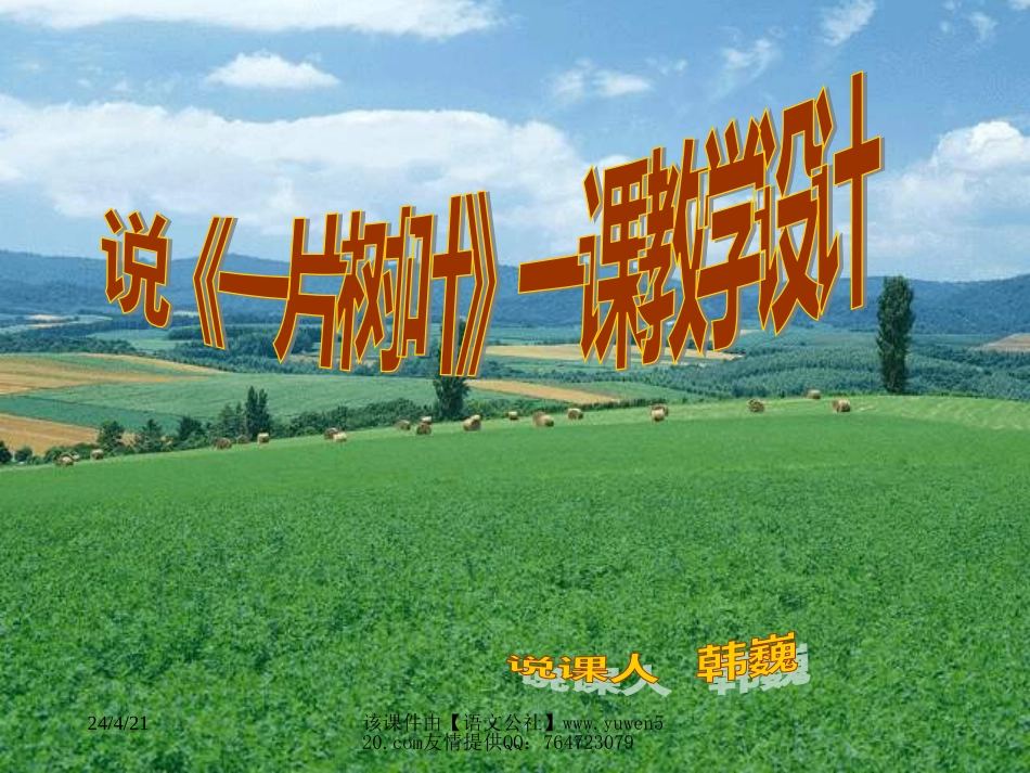 新课标小学二年级语文《一片树叶》说课课件[共11页]_第1页