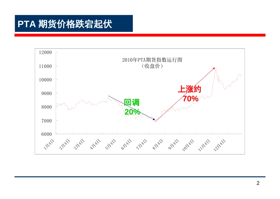 新石化观下的PTA期货投资分析（PPT）[共76页]_第2页