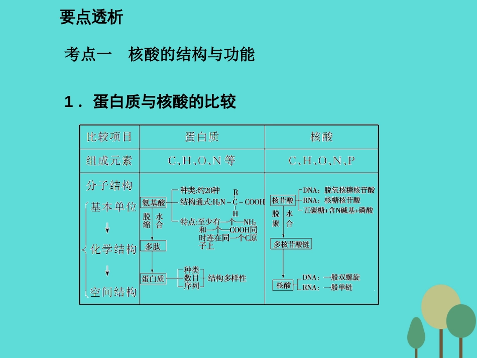 年高考生物一轮复习 第1单元 走近细胞和组成细胞的分子 第4讲 核酸 糖类和脂质课件_第1页