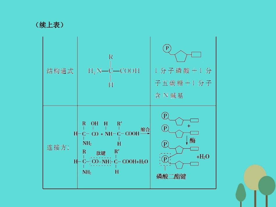 年高考生物一轮复习 第1单元 走近细胞和组成细胞的分子 第4讲 核酸 糖类和脂质课件_第2页
