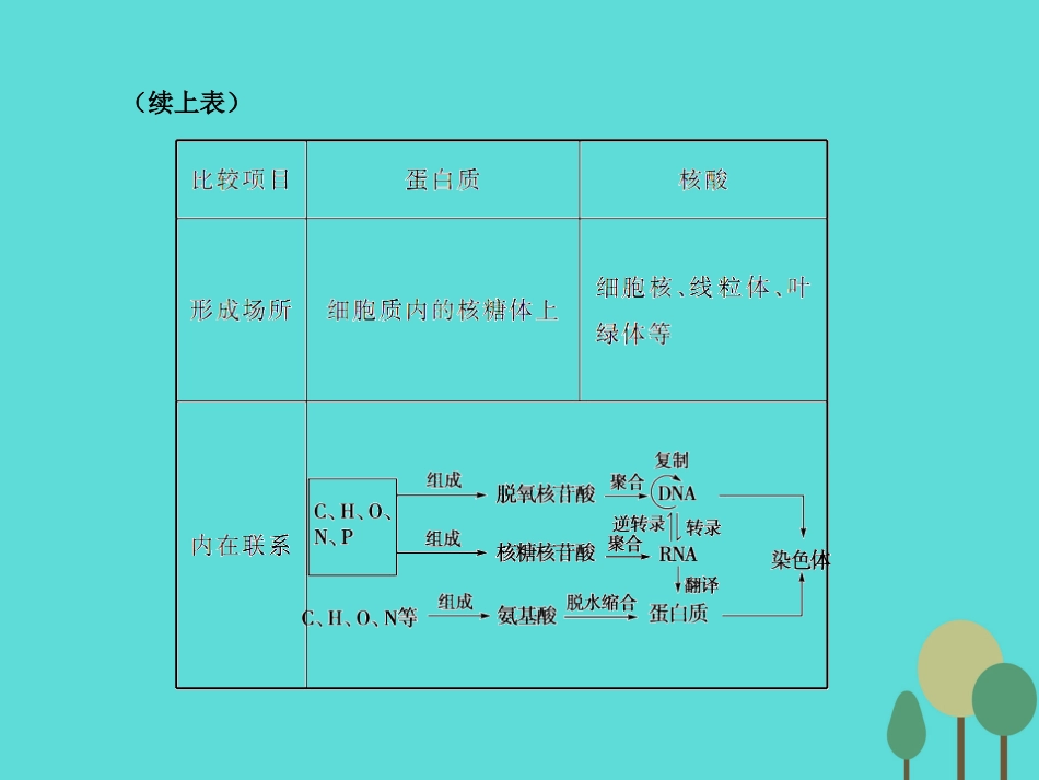 年高考生物一轮复习 第1单元 走近细胞和组成细胞的分子 第4讲 核酸 糖类和脂质课件_第3页
