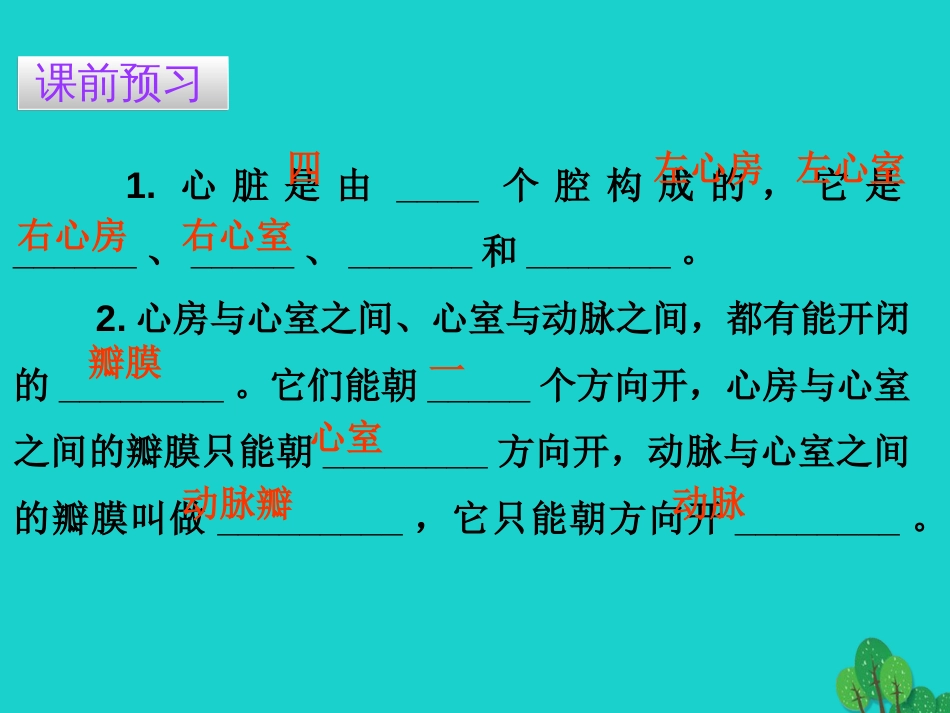 广东省20152016七年级生物下册 第4章 第三节 输送血液的泵——心脏导练课件 （新版）新人教版_第3页