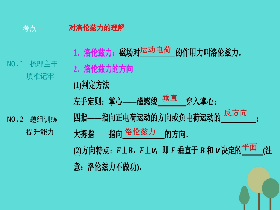 优化探究（新课标）2017届高三物理一轮复习 第8章 磁场 第2讲 磁场对运动电荷的作用课件_第2页