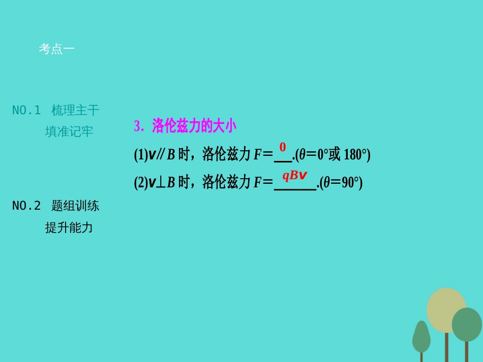 优化探究（新课标）2017届高三物理一轮复习 第8章 磁场 第2讲 磁场对运动电荷的作用课件_第3页
