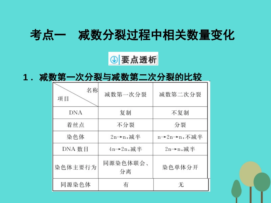 年高考生物一轮复习 第4单元 细胞的生命历程 第12讲 减数分裂和受精作用课件_第2页